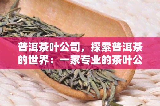 普洱茶叶公司，探索普洱茶的世界：一家专业的茶叶公司的故事