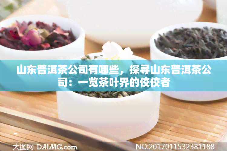 山东普洱茶公司有哪些，探寻山东普洱茶公司：一览茶叶界的佼佼者