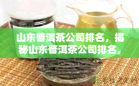 山东普洱茶公司排名，揭秘山东普洱茶公司排名，哪一家更受消费者青睐？