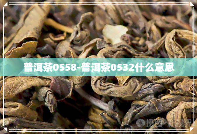 普洱茶0558-普洱茶0532什么意思