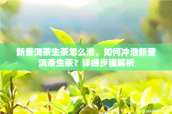 新普洱茶生茶怎么泡，如何冲泡新普洱茶生茶？详细步骤解析