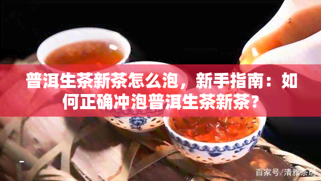 普洱生茶新茶怎么泡，新手指南：如何正确冲泡普洱生茶新茶？