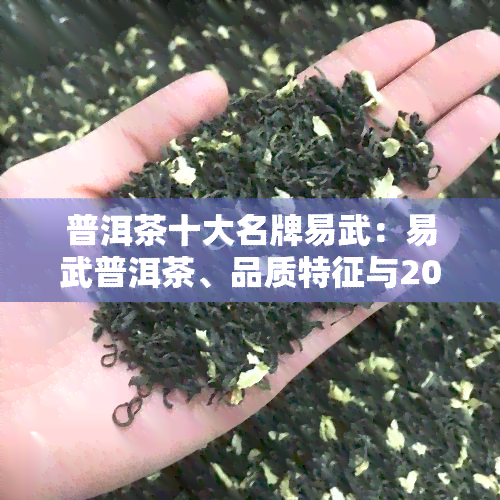 普洱茶十大名牌易武：易武普洱茶、品质特征与2021价格表