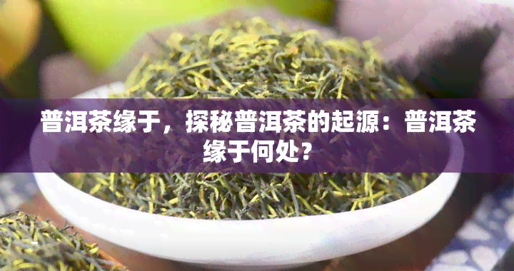 普洱茶缘于，探秘普洱茶的起源：普洱茶缘于何处？