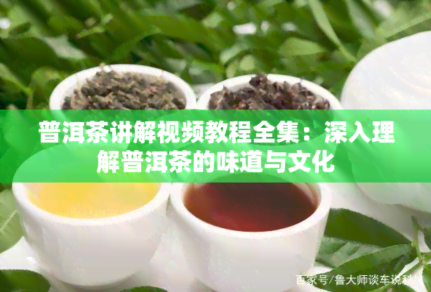 普洱茶讲解视频教程全集：深入理解普洱茶的味道与文化