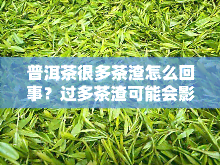 普洱茶很多茶渣怎么回事？过多茶渣可能会影响口感与健