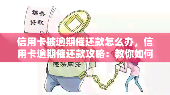 信用卡被逾期催还款怎么办，信用卡逾期催还款攻略：教你如何妥善处理