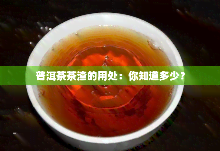 普洱茶茶渣的用处：你知道多少？