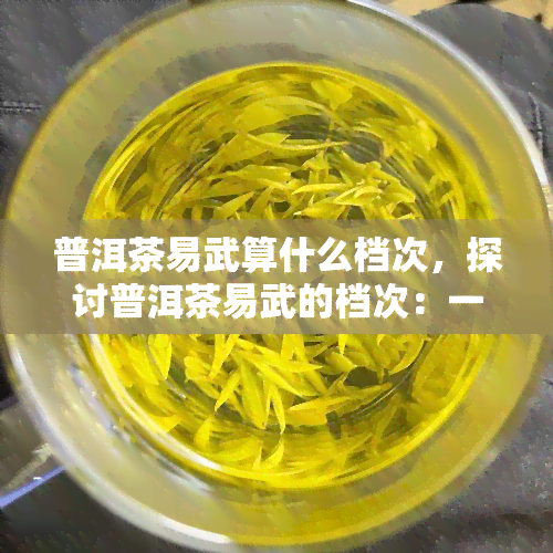 普洱茶易武算什么档次，探讨普洱茶易武的档次：一场味觉与历的对话