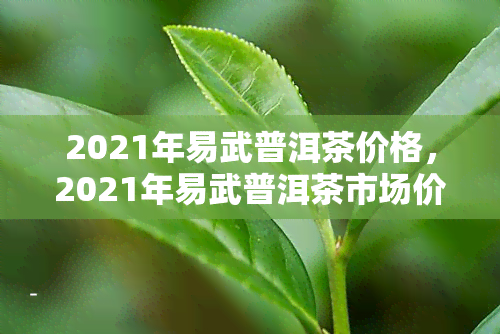 2021年易武普洱茶价格，2021年易武普洱茶市场价格趋势分析