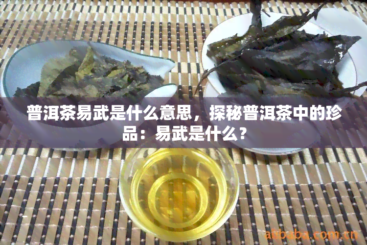 普洱茶易武是什么意思，探秘普洱茶中的珍品：易武是什么？