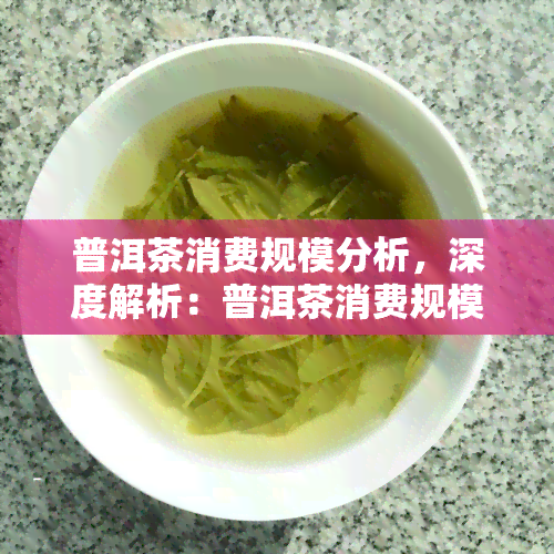 普洱茶消费规模分析，深度解析：普洱茶消费规模的趋势与影响因素