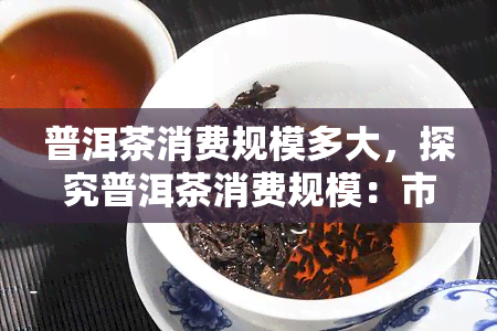 普洱茶消费规模多大，探究普洱茶消费规模：市场需求与发展趋势