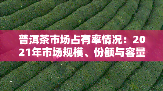 普洱茶市场占有率情况：2021年市场规模、份额与容量深度分析