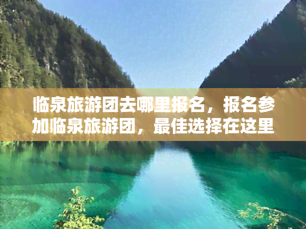 临泉旅游团去哪里报名，报名参加临泉旅游团，更佳选择在这里！