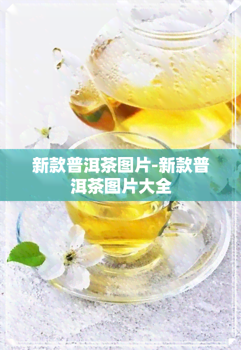 新款普洱茶图片-新款普洱茶图片大全