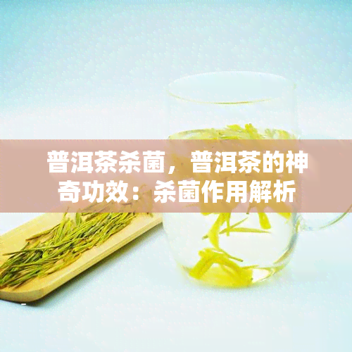 普洱茶杀菌，普洱茶的神奇功效：杀菌作用解析