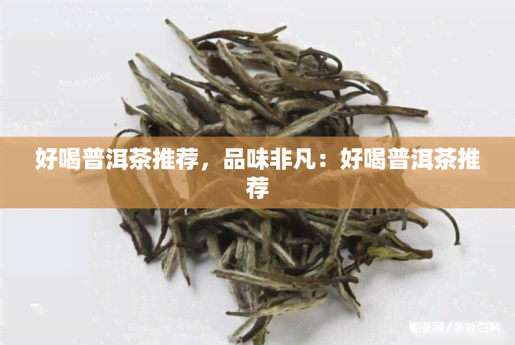 好喝普洱茶推荐，品味非凡：好喝普洱茶推荐