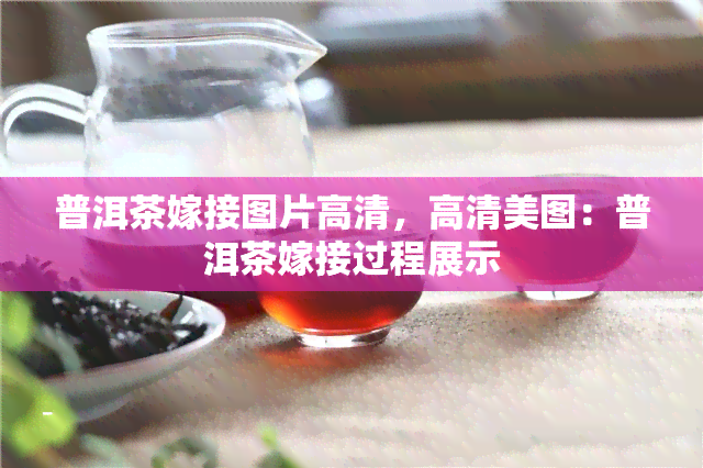 普洱茶嫁接图片高清，高清美图：普洱茶嫁接过程展示