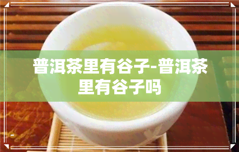 普洱茶里有谷子-普洱茶里有谷子吗