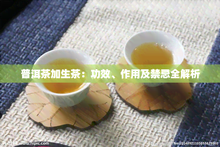 普洱茶加生茶：功效、作用及禁忌全解析