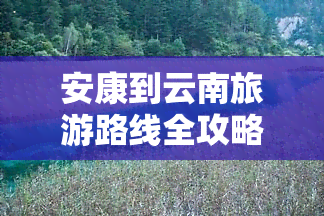 安康到云南旅游路线全攻略：路线图、怎么走、推荐及自驾游指南，全程约距离XXX公里