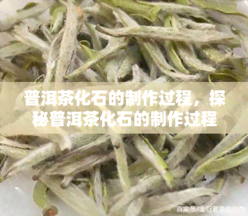 普洱茶化石的制作过程，探秘普洱茶化石的制作过程