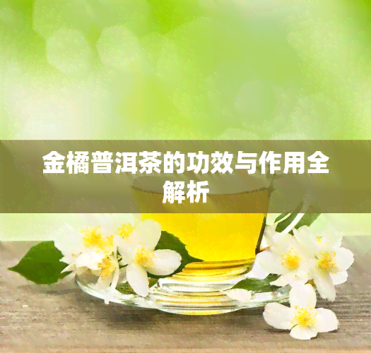 金橘普洱茶的功效与作用全解析