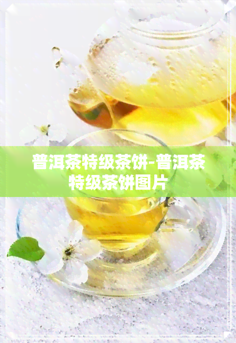 普洱茶特级茶饼-普洱茶特级茶饼图片