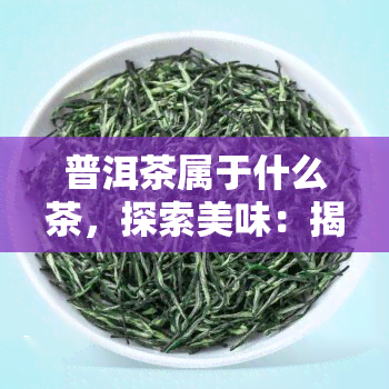 普洱茶属于什么茶，探索美味：揭秘普洱茶的归属种类