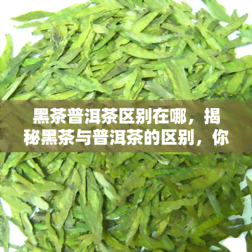 黑茶普洱茶区别在哪，揭秘黑茶与普洱茶的区别，你了解多少？