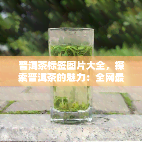 普洱茶标签图片大全，探索普洱茶的魅力：全网最全的标签图片大全