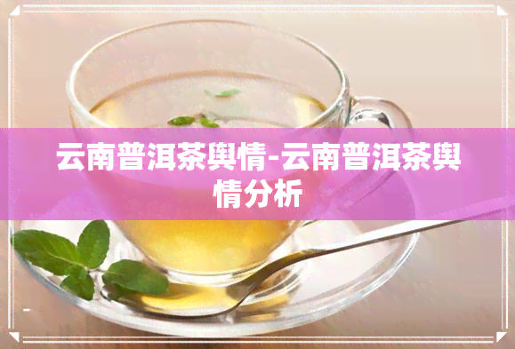 云南普洱茶舆情-云南普洱茶舆情分析