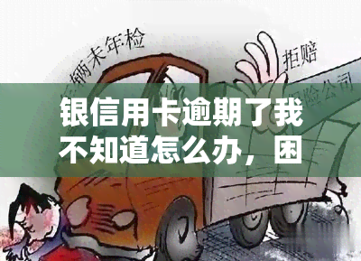 银信用卡逾期了我不知道怎么办，困惑不已：面对银信用卡逾期，我该怎么办？