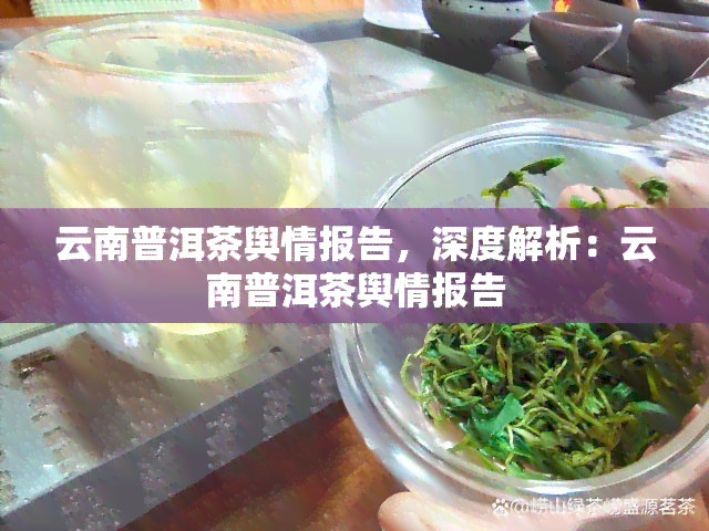 云南普洱茶舆情报告，深度解析：云南普洱茶舆情报告