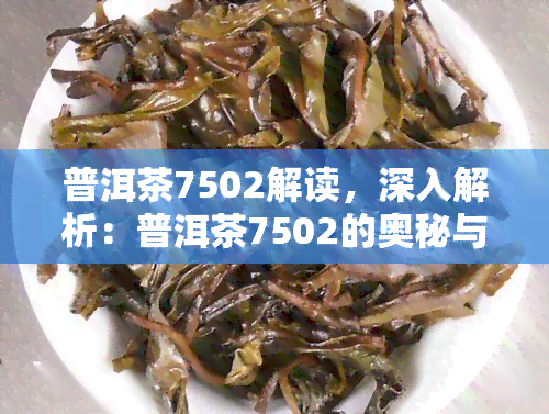 普洱茶7502解读，深入解析：普洱茶7502的奥秘与魅力