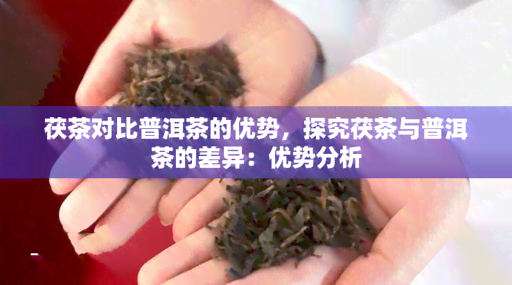 茯茶对比普洱茶的优势，探究茯茶与普洱茶的差异：优势分析