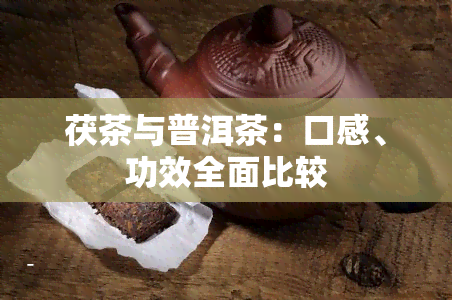 茯茶与普洱茶：口感、功效全面比较