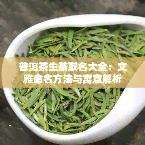 普洱茶生茶取名大全：文雅命名方法与寓意解析