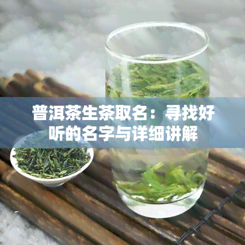 普洱茶生茶取名：寻找好听的名字与详细讲解