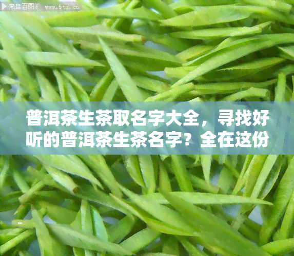 普洱茶生茶取名字大全，寻找好听的普洱茶生茶名字？全在这份大全中！