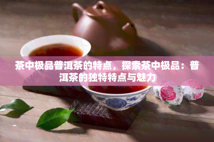 茶中极品普洱茶的特点，探索茶中极品：普洱茶的独特特点与魅力