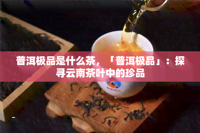 普洱极品是什么茶，「普洱极品」：探寻云南茶叶中的珍品