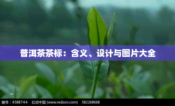 普洱茶茶标：含义、设计与图片大全