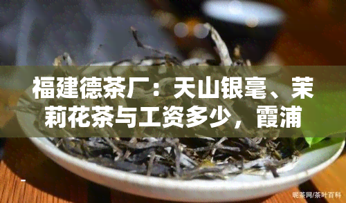 福建德茶厂：天山银毫、茉莉花茶与工资多少，霞浦瓷厂茶叶罐及多家分厂介绍