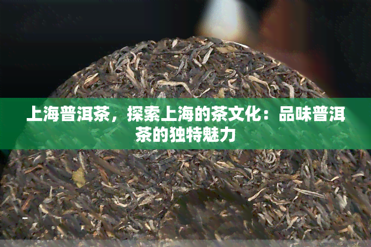 上海普洱茶，探索上海的茶文化：品味普洱茶的独特魅力