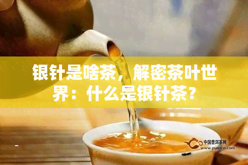 银针是啥茶，解密茶叶世界：什么是银针茶？