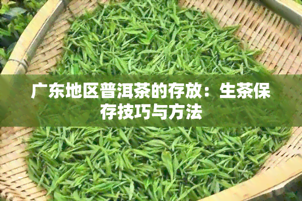 广东地区普洱茶的存放：生茶保存技巧与方法