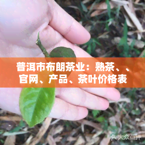 普洱市布朗茶业：熟茶、、官网、产品、茶叶价格表及云南大叶种晒青毛茶