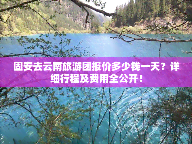 固安去云南旅游团报价多少钱一天？详细行程及费用全公开！